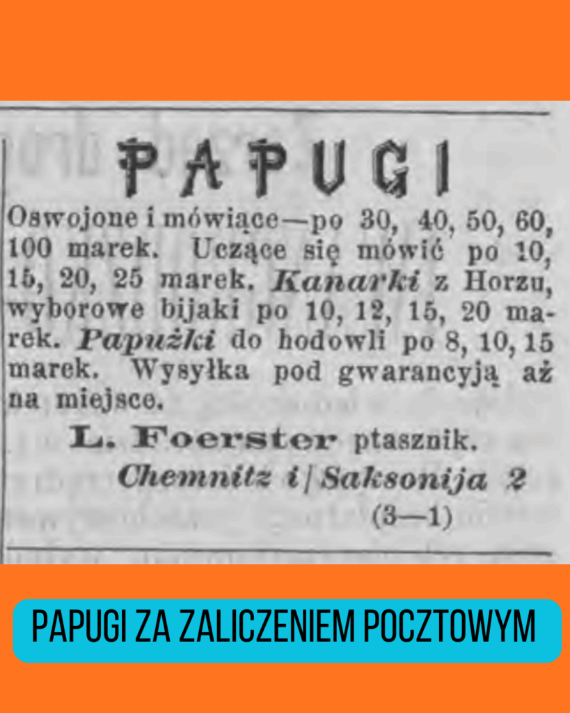 Papugi oswojone i mówiące - z Chemnitz