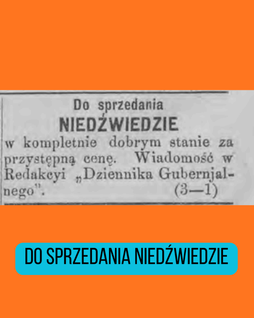 Do sprzedania niedźwiedzie w kompletnie dobrym stanie